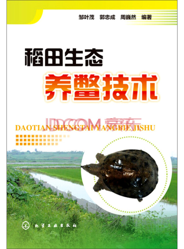稻田生态养鳖技术