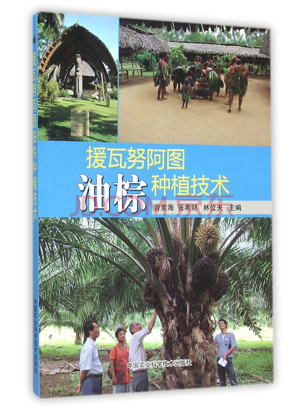 援瓦努阿图油棕种植技术