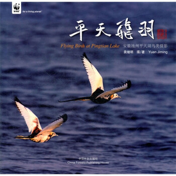 平天飞羽：安徽池州平天湖鸟类摄影