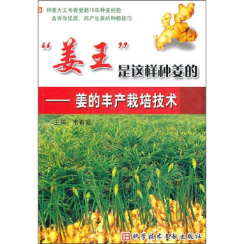 “姜王”是这样种姜的：姜的丰产栽培技术