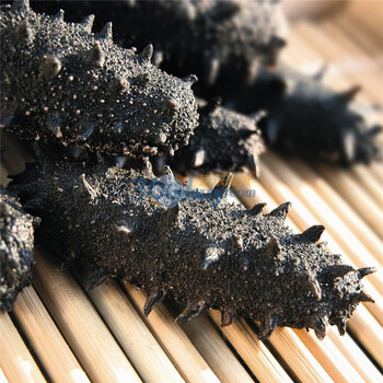 棒棰岛 大连海参正宗辽参淡干海参68克/盒20-29头