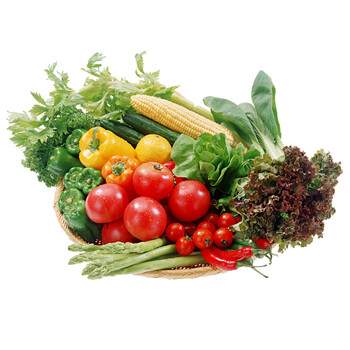 18大促 【五色养】生态鲜蔬jd03款 14种 经典搭配 新鲜蔬菜 配礼卡