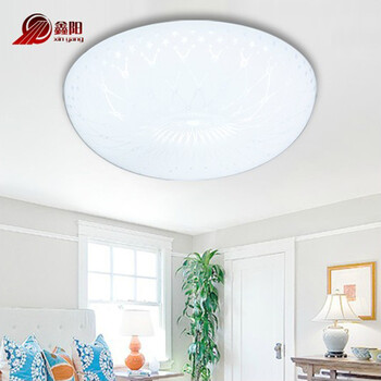 鑫阳现代简约LED吸顶灯玄关过道阳台灯具厨房浴室卫生间厕所圆形20095 400大号LED