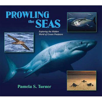 prowling the seas: exploring the hidden wo.