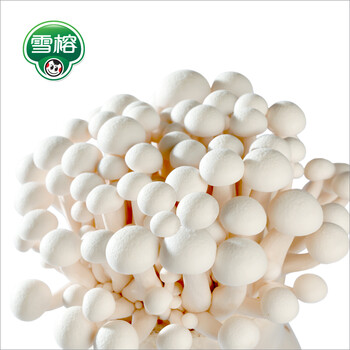 雪榕 美味白玉菇125g/袋 健康菌菇 新鲜美食 口感爽滑清甜