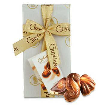 比利时进口巧克力 guylian吉利莲贝壳巧克力银色礼品装250g