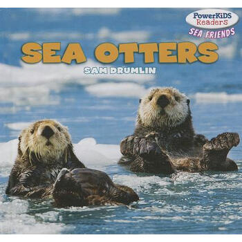 【预订】sea otters