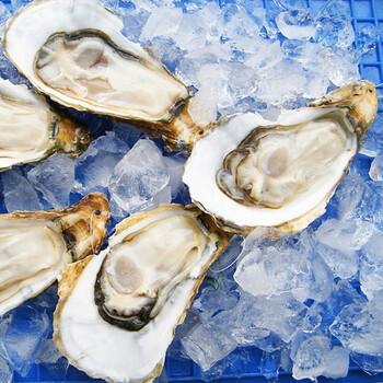 御鲜轩 冰岛半壳生蚝 速冻生蚝 烧烤美食 1000克/包