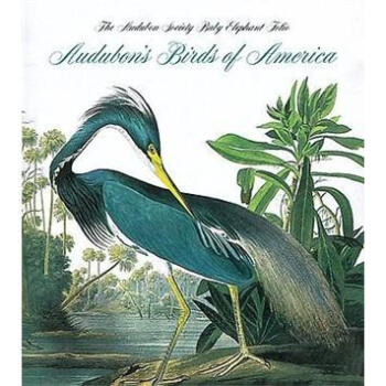 Audubon's Birds Of America Ӣԭ [װ]
