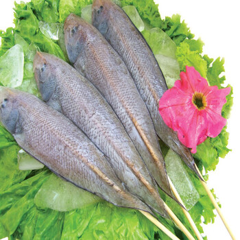 鲜码头 鲜活龙力鱼 新鲜龙利鱼 龙俐鱼700g