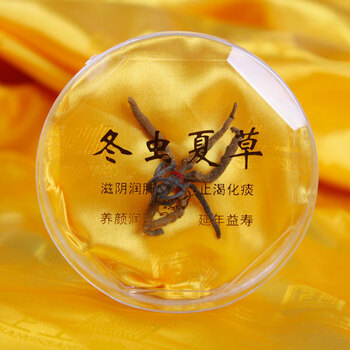 上上特级丁青西藏冬虫夏草 藏虫草 1g装 每克约4-5根 4000-4500条规格