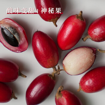 帝醇果神秘果10粒酸变甜罕见蜜拉圣果猎奇神奇改变味觉热带水果现货速