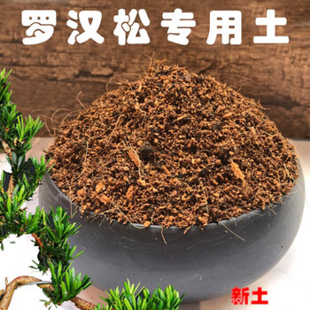 罗汉松专用土盆景盆栽营养土酸性沙质种植花泥室内家用绿植土肥料1 罗汉松土2 6kg 图片价格品牌报价 京东