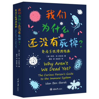 抢眼高质折叠手机——价格走势攻略