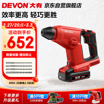 大有（Devon）无刷充电电锤冲击钻锂电锤混凝土DRH-20单电2.5