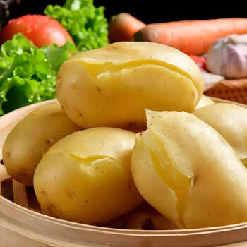 三十九度献鲜 云南黄皮土豆3斤装(大果)新鲜蔬菜农家现挖大洋芋马铃薯