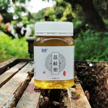 沁澜荔枝蜜 500g 广东从化封盖液态土蜂蜜农家自产 荔枝蜜500g 山乌桕