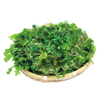 爱伊贝紫 苏北农家蔬菜现挖野生香荠荠菜野菜新鲜馄饨饺包子馅 新鲜