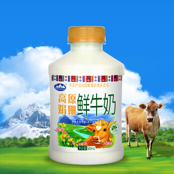青海湖高原娟姗鲜牛奶500ml 高端娟姗奶牛 巴氏杀鲜奶 低温奶