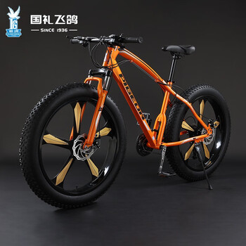 飞鸽(flying pigeon)飞鸽山地自行车4.