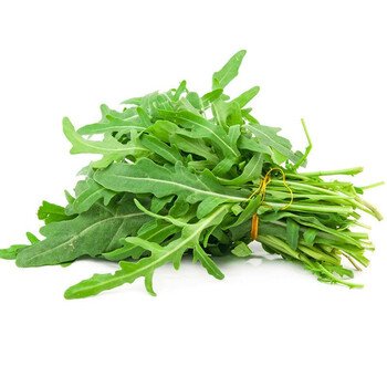 芝麻菜 叶菜新鲜生菜芝麻菜火箭菜新鲜即食西餐蔬菜沙拉生菜食材 1500