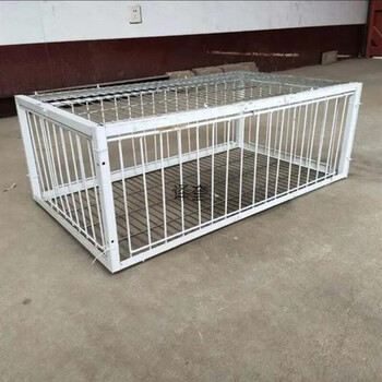 鸽具抓天落笼鸽子笼只进不出四面埋伏野外捕养鸽笼撞门笼 有天窗60*40