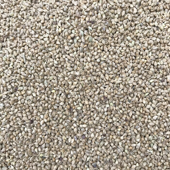 【紫歆官方旗舰店】最受欢迎花草林木商品，价格走势分析