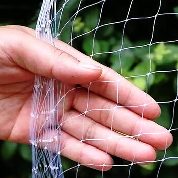 天丂防鸟网果树防鸟网罩尼龙网葡萄防护网5米宽网眼2cm约1斤40平方米