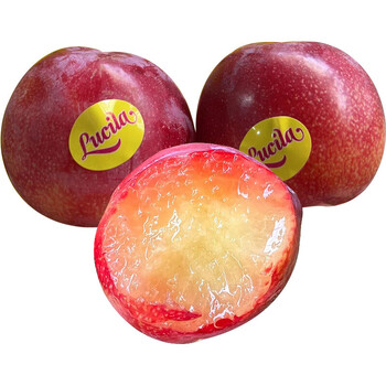 澳洲珠宝李当季新鲜樱桃李孕妇水果大李子5斤珠宝李