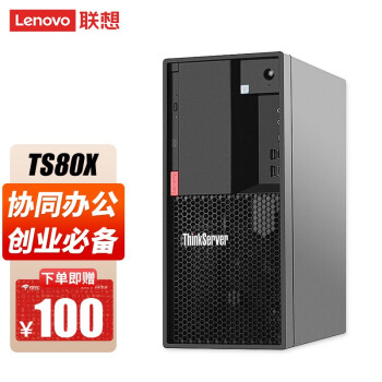 联想（Lenovo）TS80X丨T100C小主机服务器工作站塔式办公电脑 ERP财务 定制 【TS80X】至强E2224G四核 3.5GHz 32G内存丨3*4T