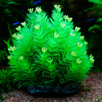 鱼缸造景 仿真水草鱼缸造景美化布景水族箱装饰中前景造景假水草 仿真