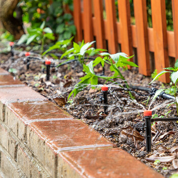 探寻黄金市场趋势：最新价格走势分析