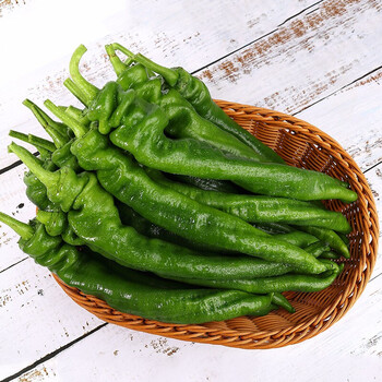 乾诚 广西螺丝椒 青线椒二荆条特辣青椒尖椒 新鲜辣椒 螺丝椒1斤
