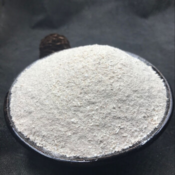 北京同仁堂官方旗舰原料中药材生龙骨土龙骨 可磨生龙骨粉另有煅龙骨