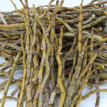 正宗霍山石斛新鲜石斛干铁皮石斛石斛风斗四年石斛枫斗胶多无渣石斛干