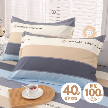 艾薇（AVIVI）枕头套枕套一对纯棉家用全棉单人枕套枕芯套 罗马时代 48*74cm