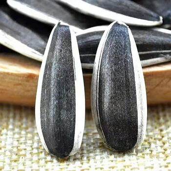 特大瓜子内蒙葵花籽新货大粒生瓜子新鲜散装批发瓜子 363精品生瓜子