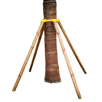 定制适用行道树木支撑支架苗木塑料固定器绿化去皮松杨木棍杆支撑架