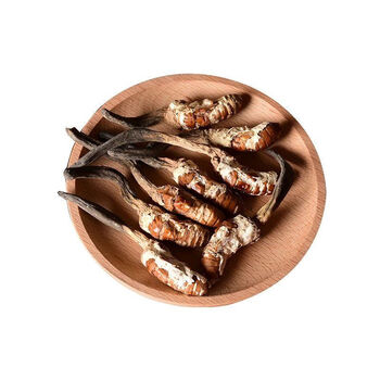 雄蝉花个大饱满非中药材野生 100g 公蝉花【图片 价格 品牌 报价】