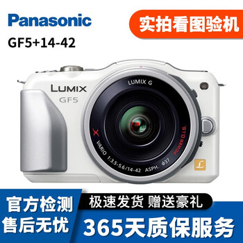 松下（Panasonic）微单相机 二手数码相机 vlog相机  松下GF5+14-42套机 95成新