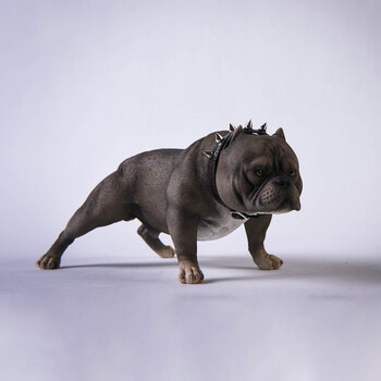 jxk1/6美国恶霸犬手办动物社会狗模型家居装饰品桌面摆件 jxk034c