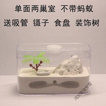 蚂蚁生态箱城堡对战观察屋蚂蚁城堡小型沙土版蚂蚁窝巢穴养殖箱子 s80