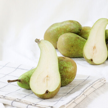 比利时啤梨 比利时青啤梨8颗装 新鲜当季软糯青梨 1280g 【专属优惠装