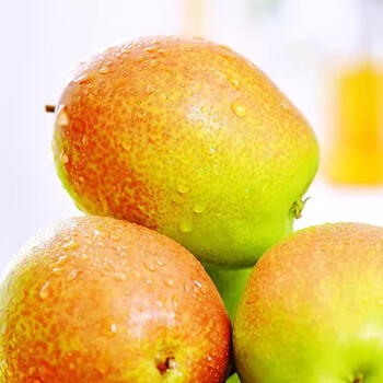 岸上人家红香酥梨现摘现发当季新鲜孕妇水果现采现发 带箱3斤装