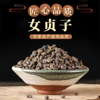 抖音同款【品质保证】奇草固元女贞子 女贞子茶颗粒饱满 形如鸡腰