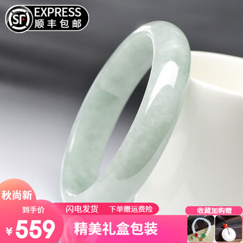 翠点尚缅甸翡翠手镯白月光玉镯子正圈处理冰糯种女款玉手镯送女友送妈妈 内径54-55mm（附鉴定证书）