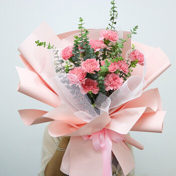 京乐享 母亲节康乃馨鲜花速递康乃馨花束生日鲜花送妈妈父母感恩节送