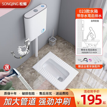 松鲸 陶瓷蹲便器套装带水箱套装厕所蹲坑便池防臭带存水弯卫生间家用 带弯【后排水】+冲力X水箱+喷枪