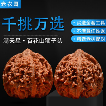 老农哥文玩核桃涞水麻核桃天然把玩老款狮子头收藏珍藏手玩核桃 满天星狮子头43mm一对
