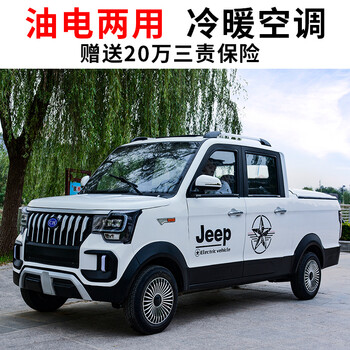 四轮电动车电瓶汽车家用皮卡新能源新款代步小型双排油电爬坡货车油电